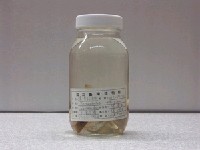 藏品(鱸滑石斑魚)的圖片